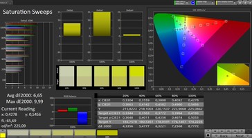 CalMAN: Colour Saturation