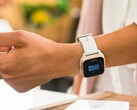 По слухам, в смарт-часах Garmin появятся новые сервисы бесконтактных платежей. (Источник изображения: Garmin)