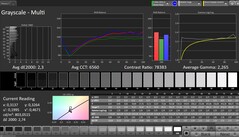 Градации серого (профиль: Профессиональный, целевое цветовое пространство: sRGB)
