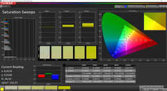 CalMAN: Color Saturation