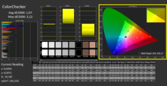 CalMAN: ColorChecker (после калибровки)