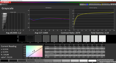 CalMAN Grayscale (DCI-P3)