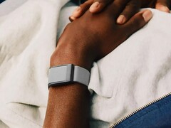 У трекера Whoop, очевидно, есть существенные проблемы (Источник изображения: Whoop)