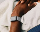 У трекера Whoop, очевидно, есть существенные проблемы (Источник изображения: Whoop)