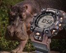 Новые часы Casio G-Shock GW-9502KJ-8 (на фото) будут официально представлены в Японии 14 ноября. (Источник изображения: Casio)