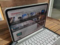 В солнечном свете