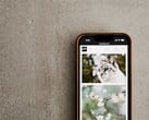 Смартфон на серой поверхности с галереей фотографий кошек и цветов на экране