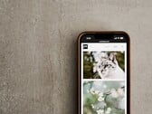 Смартфон на серой поверхности с галереей фотографий кошек и цветов на экране