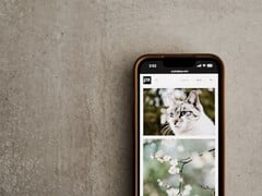Смартфон на серой поверхности с галереей фотографий кошек и цветов на экране