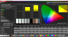 CalMAN ColorChecker (sRGB)