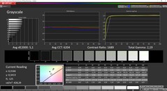 CalMAN Grayscale (DCI-P3)