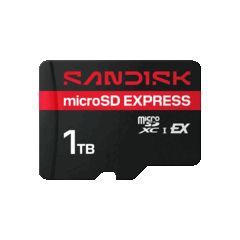 Компания SanDisk выпустила карту microSD Express объёмом 1 ТБ, которая позволяет расширить объём памяти консоли Nintendo Switch 2