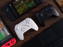 компания 8BitDo советует пользователям обновить прошивку совместимого контроллера, прежде чем подключать его к Nintendo Switch 2. (Источник изображения: 8BitDo)