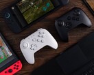 компания 8BitDo советует пользователям обновить прошивку совместимого контроллера, прежде чем подключать его к Nintendo Switch 2. (Источник изображения: 8BitDo)