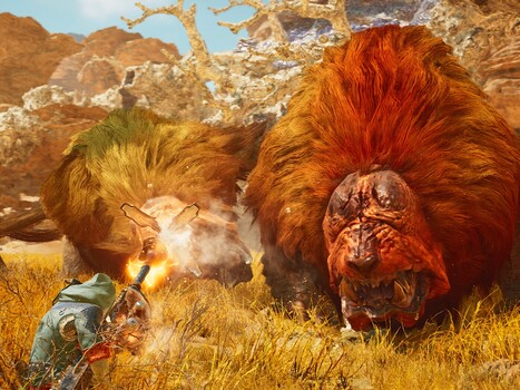 Бой в пустыне Monster Hunter Wilds (Источник изображения: Steam)