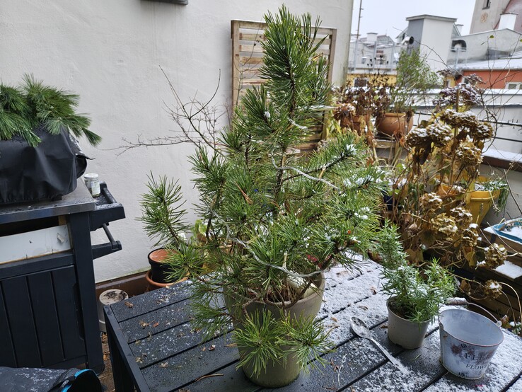 Фото с основной камеры