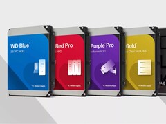 Варианты хранения данных на жестких дисках Western Digital. (Источник изображения: Western Digital)