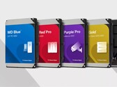 Варианты хранения данных на жестких дисках Western Digital. (Источник изображения: Western Digital)