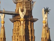 20-кратное увеличение