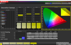 Насыщение (P3)
