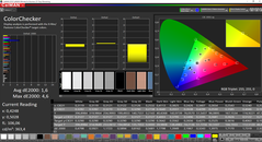 CalMAN ColorChecker (после калибровки)