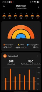 Xiaomi Smart Band 10 Activity