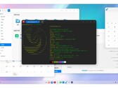 Разработчики сделали все возможное, чтобы V23 RC2 выглядел как можно привлекательнее. (Источник: Deepin)