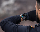 Пока неясно, добавит ли Garmin новые функции и в существующие смарт-часы, например, в Fenix 8. (Источник изображения: Garmin)