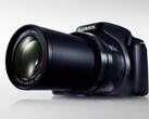 Panasonic FZ82D - это компактная камера с 60-кратным зум-объективом. (Изображение: Panasonic)