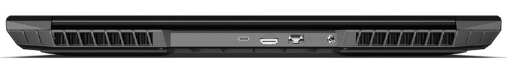 Задняя сторона: разъем питания, 2.5-Гбит Ethernet, HDMI 2.1 (HDCP 2.3), Thunderbolt 4/USB-C 4.0 Gen3 (DisplayPort 1.4a, G-SYNC) (Изображение: Schenker)