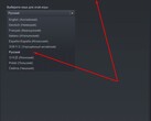 В Steam доступен целый ряд языков (Источник: steamcommunity)
