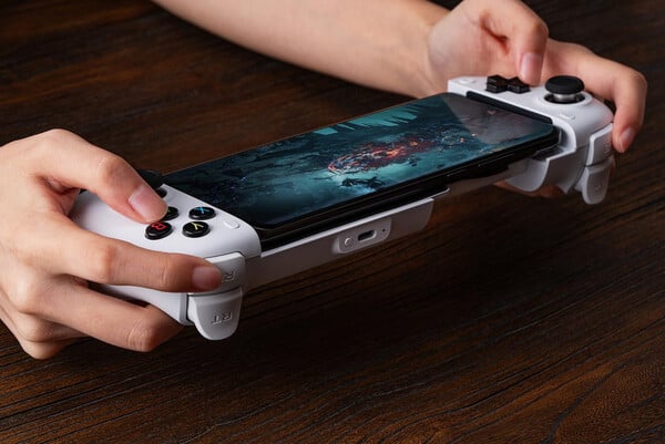 (Источник изображения: 8BitDo)