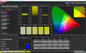 CalMAN Saturation Sweeps sRGB (Интенсивный)