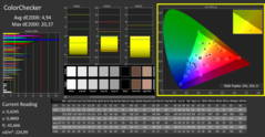 CalMAN - ColorChecker