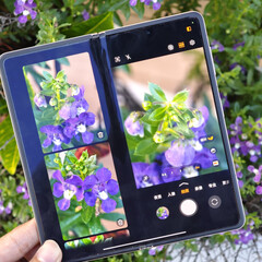 Все цветовые варианты Magic V5, кроме одного, имеют толщину в закрытом состоянии 9 мм и официальный вес 222 г (Источник изображения: Fenibook)