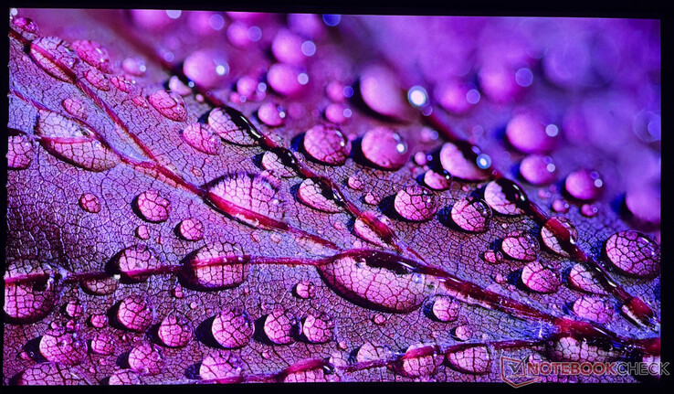 Используемый iPhone 16 Pro может передать качество изображения Aetherion Max лишь в ограниченной степени.