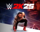 Баннер WWE 2K25 (Источник изображения: Sony PlayStation, Take-Two Interactive с правками)