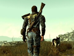 Протагонист Fallout 3 и компаньон Dogmeat.