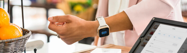 Функция Garmin Pay (показана выше) будет переименована в Garmin Wallet. (Источник изображения: Garmin)