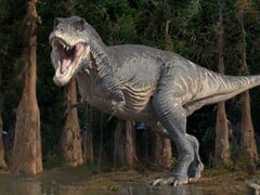 Жизнь на Земле была бы совсем другой, если бы динозавры не вымерли. (Источник изображения: ROGER HARRIS/SCIENCE PHOTO LIBRARY)
