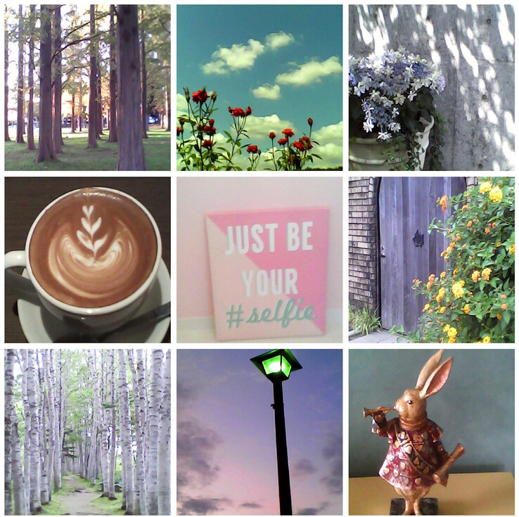 Примеры фотографий, сделанных с помощью игрушечной камеры Kenko Tokina Pieni II. (Источник изображения: Kenko Tokina)