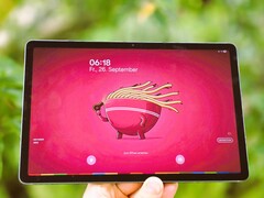 Samsung Galaxy Tab S10 Lite в обзоре. (Источник изображения: Маркус Хербрих)