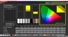 CalMAN ColorChecker (после калибровки, DCI-P3)