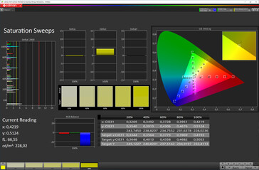 CalMAN: Saturation sweeps (sRGB)