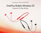 OnePlus Bullets Wireless Z3 (на фото) будет выпущен в качестве преемника OnePlus Bullets Wireless Z2, выпущенного в 2022 году. (Источник изображения: OnePlus)
