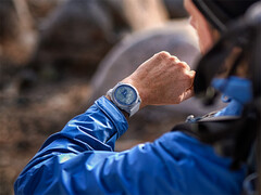 Компания Garmin постепенно приближается к выпуску нового стабильного обновления для своих старых смарт-часов. (Источник изображения: Garmin)