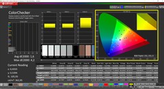 CalMAN ColorChecker (Display P3, DCI-P3)