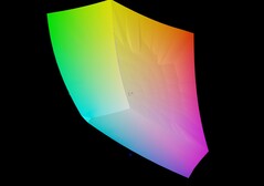 Medion Erazer Beast 18 X1 против sRGB