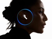 AirPods Pro 3 оснащены новым разработанным датчиком сердечного ритма (Источник изображения: Apple)