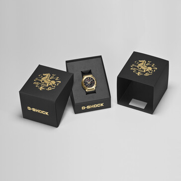 (Источник изображения: Casio Japan)